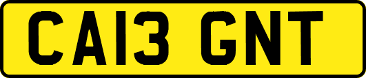 CA13GNT