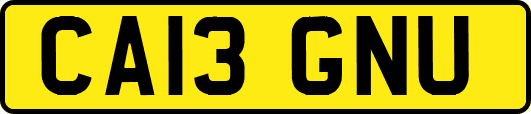 CA13GNU
