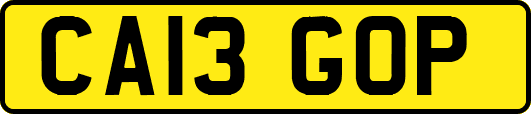 CA13GOP