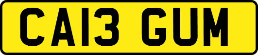 CA13GUM