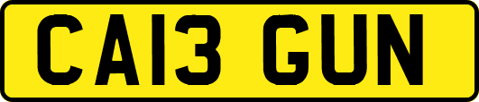 CA13GUN