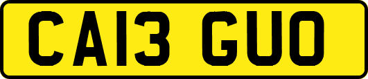 CA13GUO