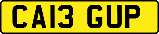 CA13GUP