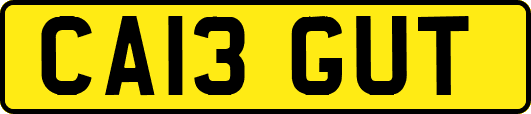 CA13GUT