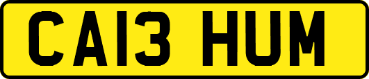 CA13HUM