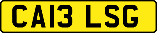 CA13LSG