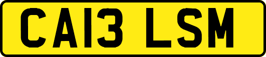 CA13LSM