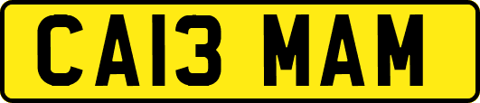 CA13MAM