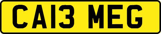 CA13MEG