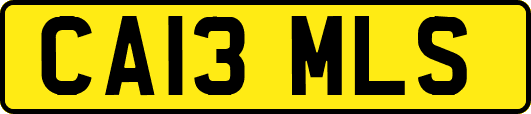 CA13MLS