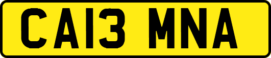 CA13MNA