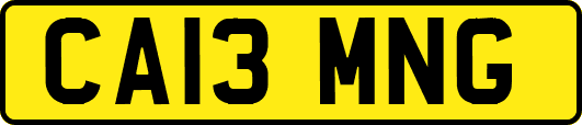 CA13MNG