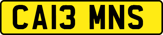 CA13MNS