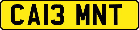 CA13MNT