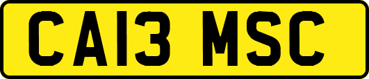 CA13MSC