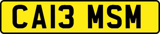 CA13MSM