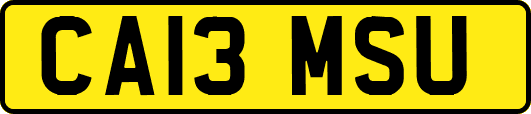 CA13MSU