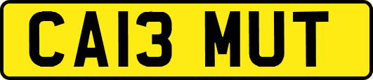 CA13MUT
