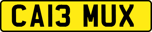 CA13MUX
