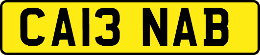 CA13NAB