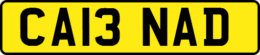 CA13NAD