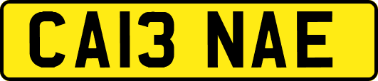 CA13NAE