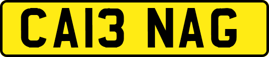 CA13NAG
