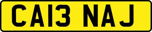 CA13NAJ