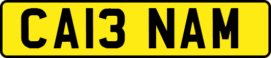 CA13NAM