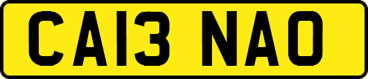 CA13NAO