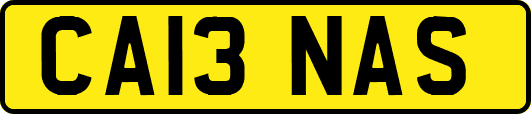 CA13NAS