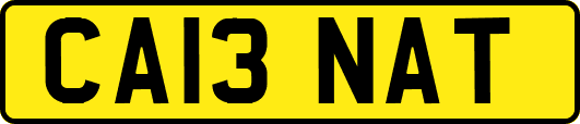 CA13NAT