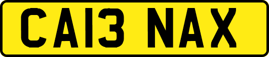 CA13NAX