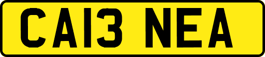 CA13NEA