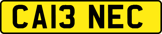 CA13NEC