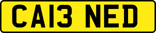 CA13NED
