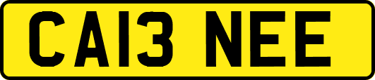 CA13NEE
