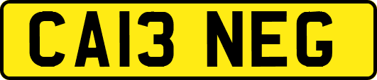 CA13NEG