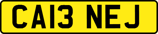 CA13NEJ