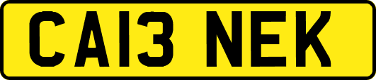 CA13NEK