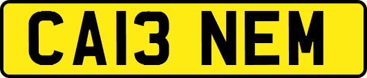 CA13NEM