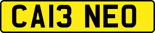 CA13NEO
