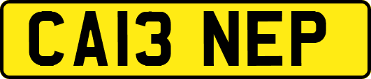 CA13NEP