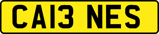 CA13NES