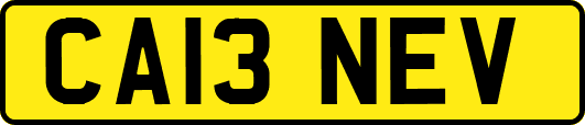 CA13NEV