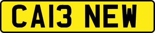 CA13NEW
