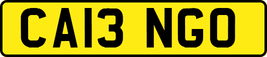 CA13NGO