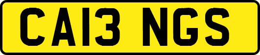CA13NGS