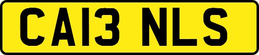 CA13NLS