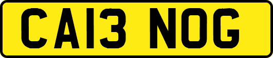 CA13NOG